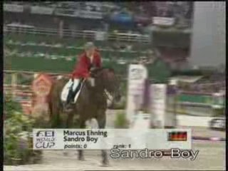 Sandro Boy et Markus Ehning : le couple parfait