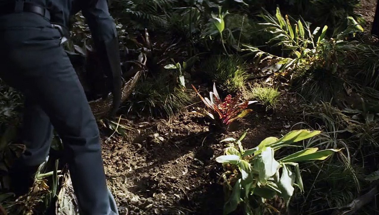 Homecoming - Se1 - Ep04 HD Watch HD Deutsch