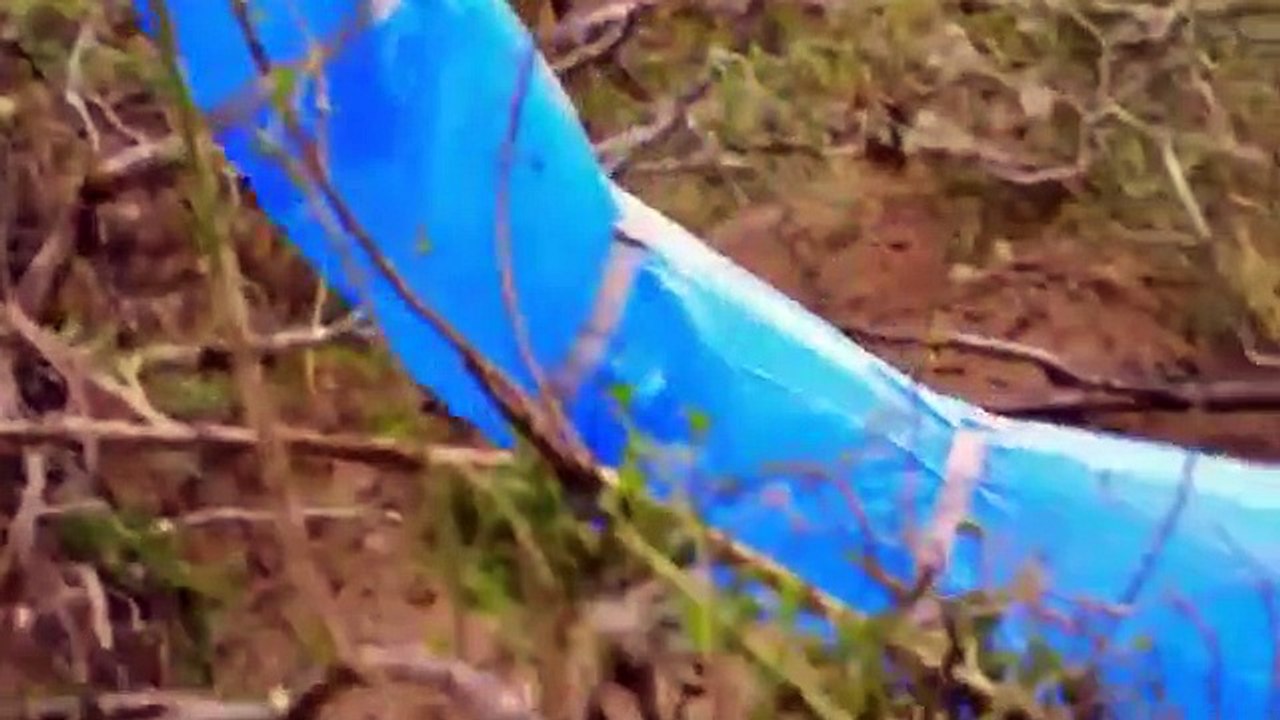 Treasure Quest - Snake Island - Se3 - Ep07 HD Watch HD Deutsch