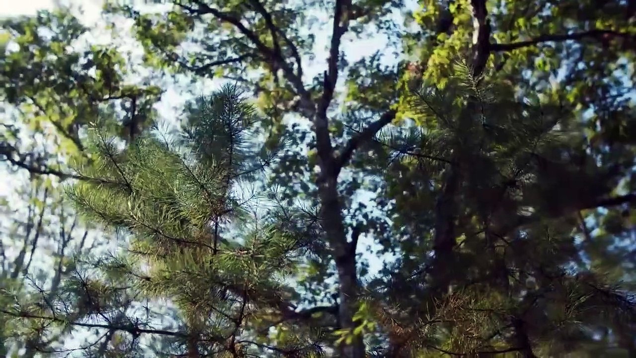 Into the Unknown - Se1 - Ep06 - The Jersey Devil HD Watch HD Deutsch