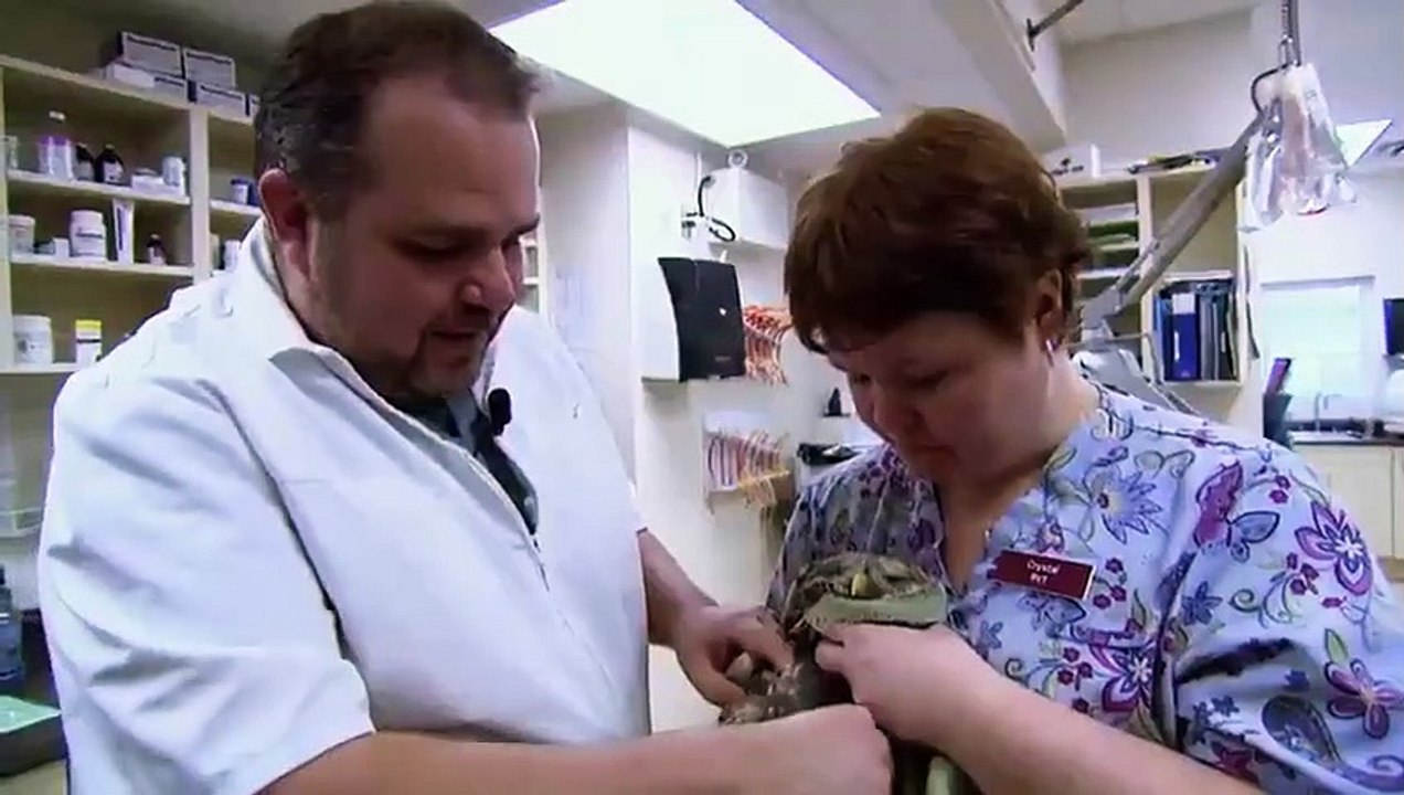 Hope in the Wild - Se1 - Ep01 HD Watch HD Deutsch