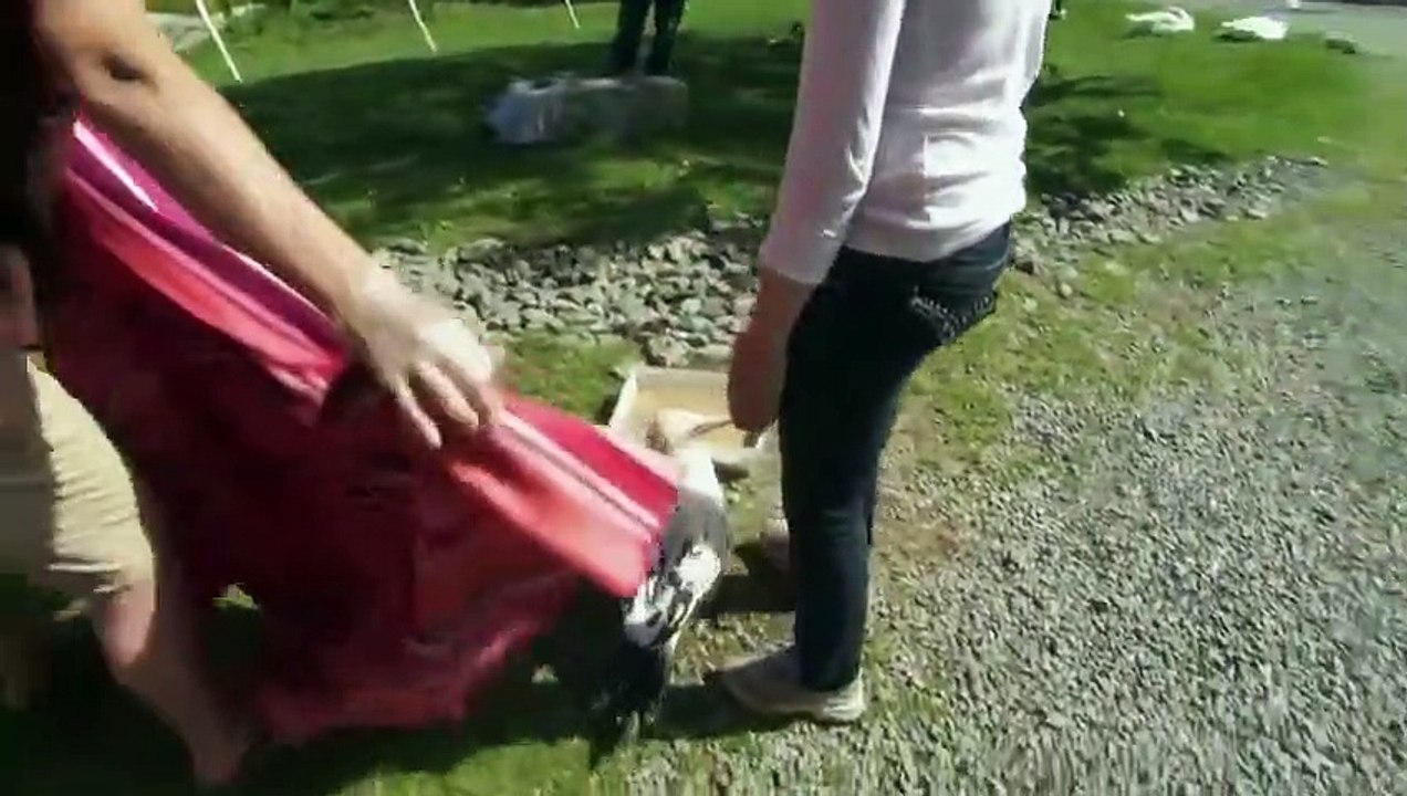 Hope in the Wild - Se1 - Ep04 HD Watch HD Deutsch