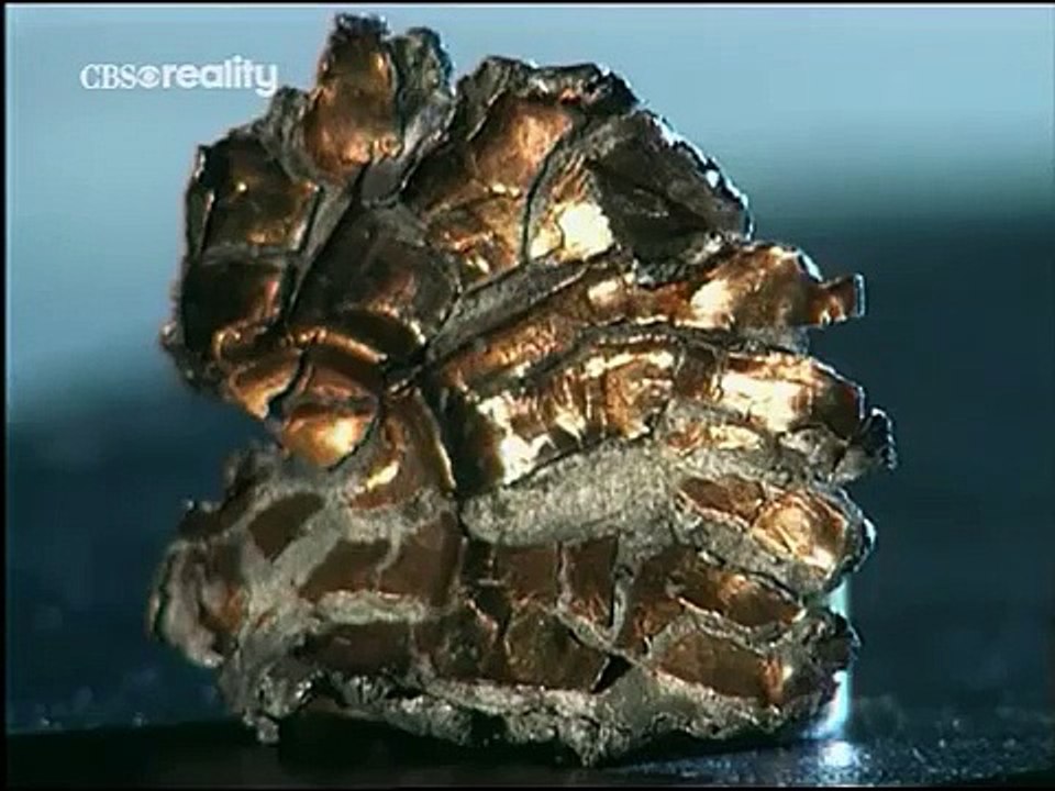 Forensic Files - Se1 - Ep02 HD Watch HD Deutsch