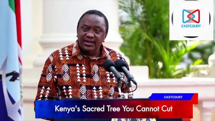 Kenya's Sacred Tree That No One Can Cut Down