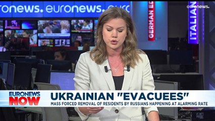 Latest news bulletin | October 20th – Evening