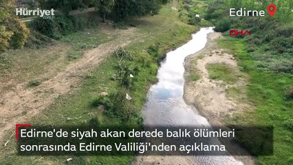 Siyah akan derede balık ölümleri sonrasında Edirne Valiliği'nden açıklama