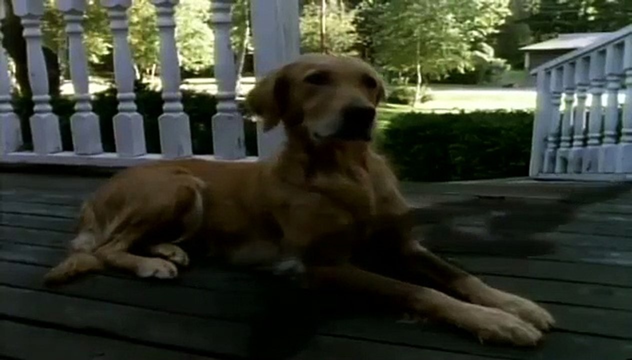 Goosebumps - Se1 - Ep09 - Return of the Mummy HD Watch HD Deutsch