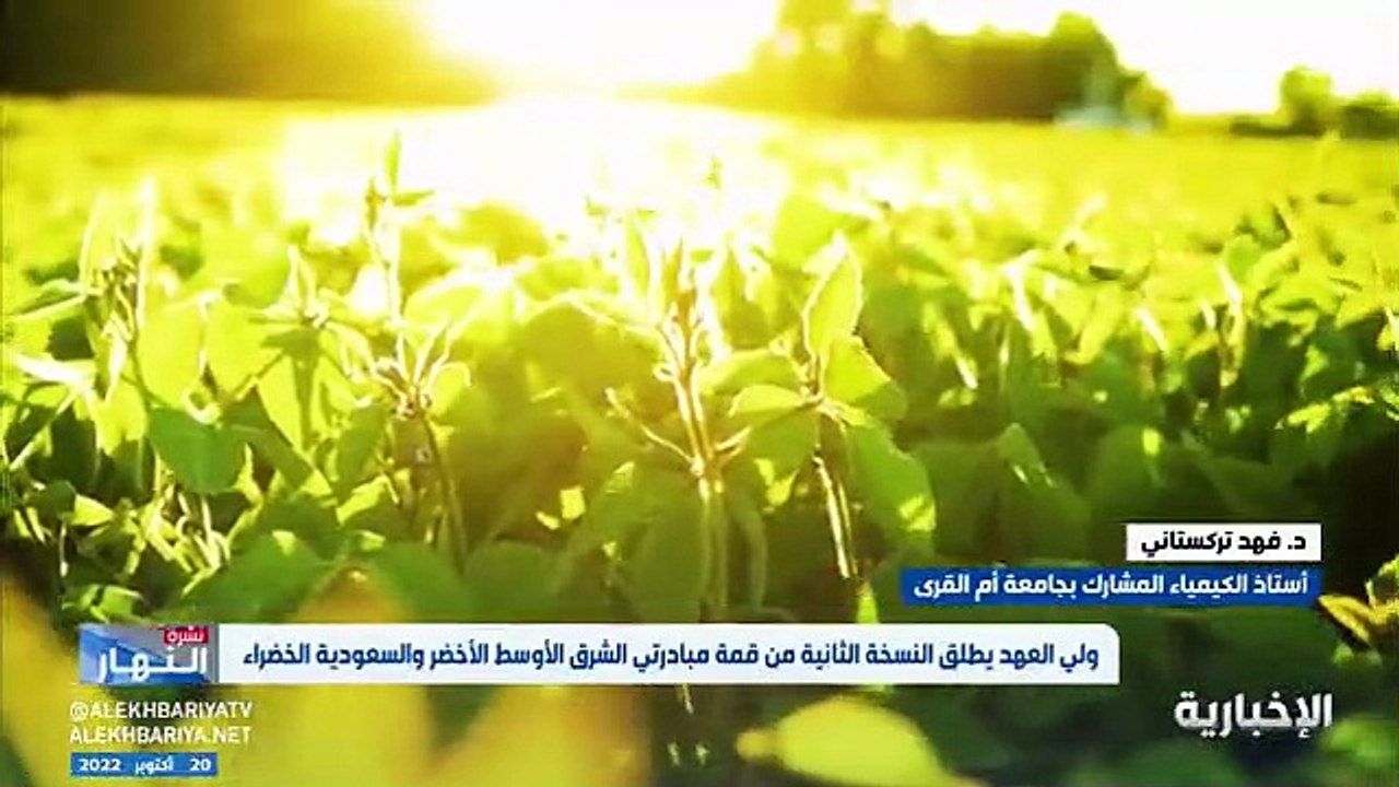 فيديو أستاذ الكيمياء المشارك بجامعة أم القرى والناشط البيئي د. فهد تركستاني برنامج استمطار السحب أدى لزيادة الهاطل المطري بنسبة 20 - - نشرة_الن