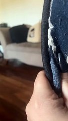 Sneaky se fige lorsqu'il est repéré - Buzz Buddy