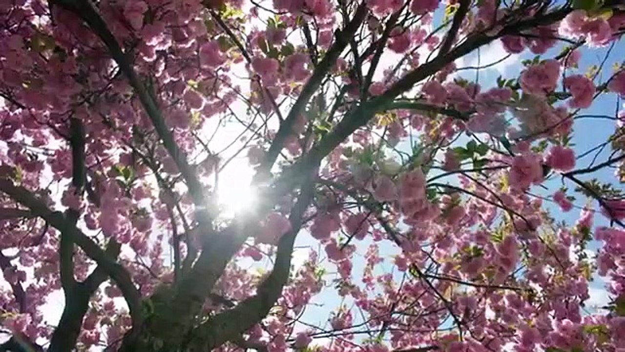 Lorena - Se1 - Ep02 - A Woman in Trouble HD Watch HD Deutsch