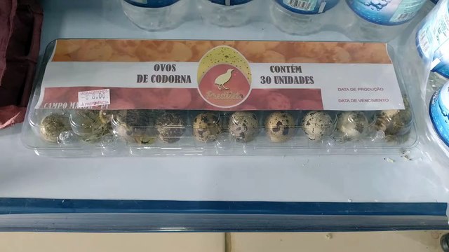 Les œufs de caille semblent éclore sur une étagère de supermarché - Buzz Buddy