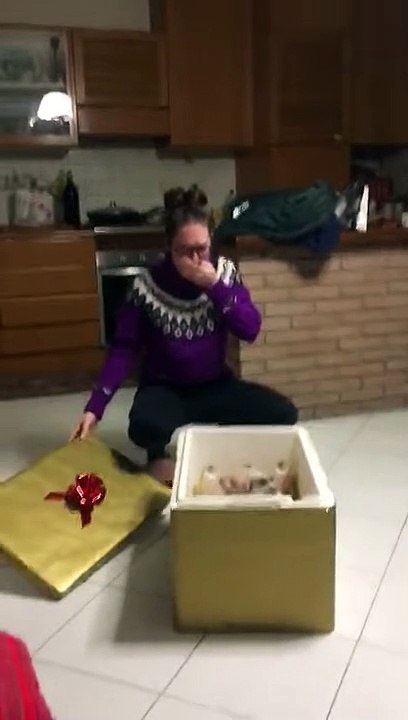 Une femme qui veut un cochon depuis longtemps obtient enfin un - Buzz Buddy