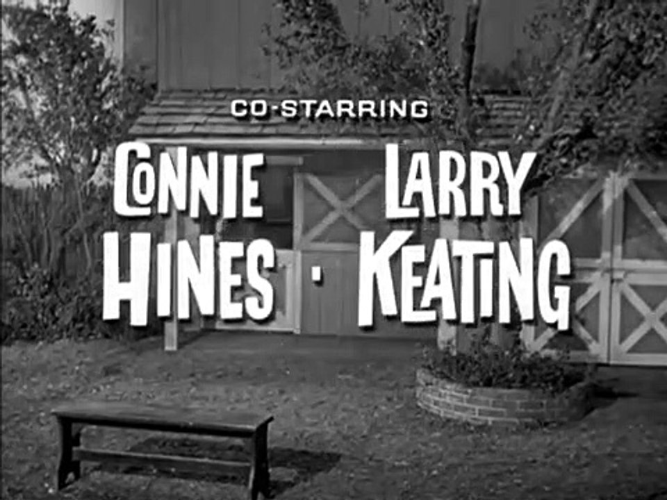 Mister Ed - Se1 - Ep04 HD Watch HD Deutsch