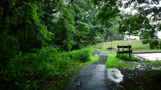 Guided Rain Walk Meditation I Relaxing Rain Walk I Umbrella and Nature Sounds I Sleep and Relaxation I 4k ASM I Guided Rain Walk Meditation I