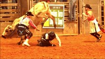 Moo, Kids Cow Videos, Bull Riding, Cow Moo And Bull Sound For Kids #bullriding