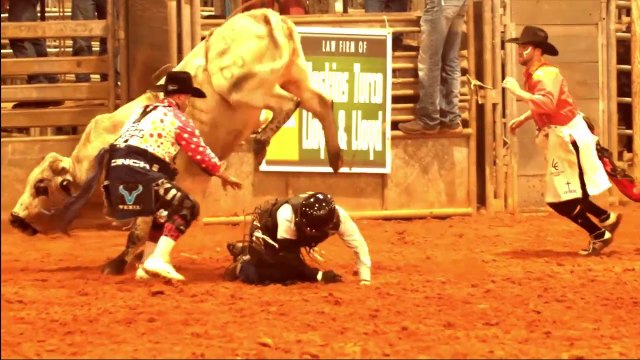 Moo, Kids Cow Videos, Bull Riding, Cow Moo And Bull Sound For Kids #bullriding