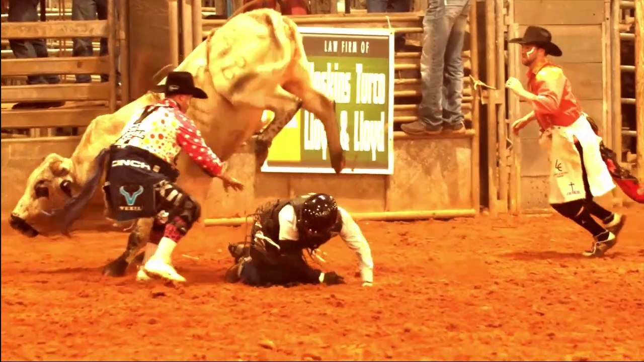 Moo, Kids Cow Videos, Bull Riding, Cow Moo And Bull Sound For Kids #bullriding