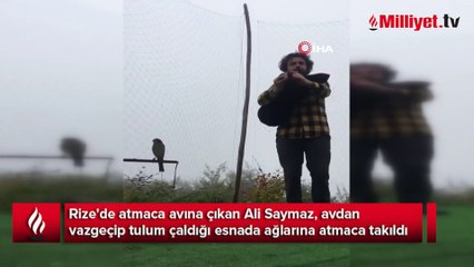 Avdan vazgeçip tulum çaldığı esnada atmaca ağlara takıldı