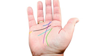 Can palm reading really predict your future?