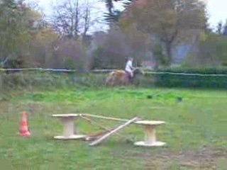 Moi et Om-nibus en saut