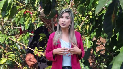 Cooperativas: dos ingredientes à receita para empreender com sucesso