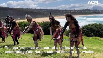 Sapphire Coast Whale Trail Cultural Event, 15-10-22, Bega District News