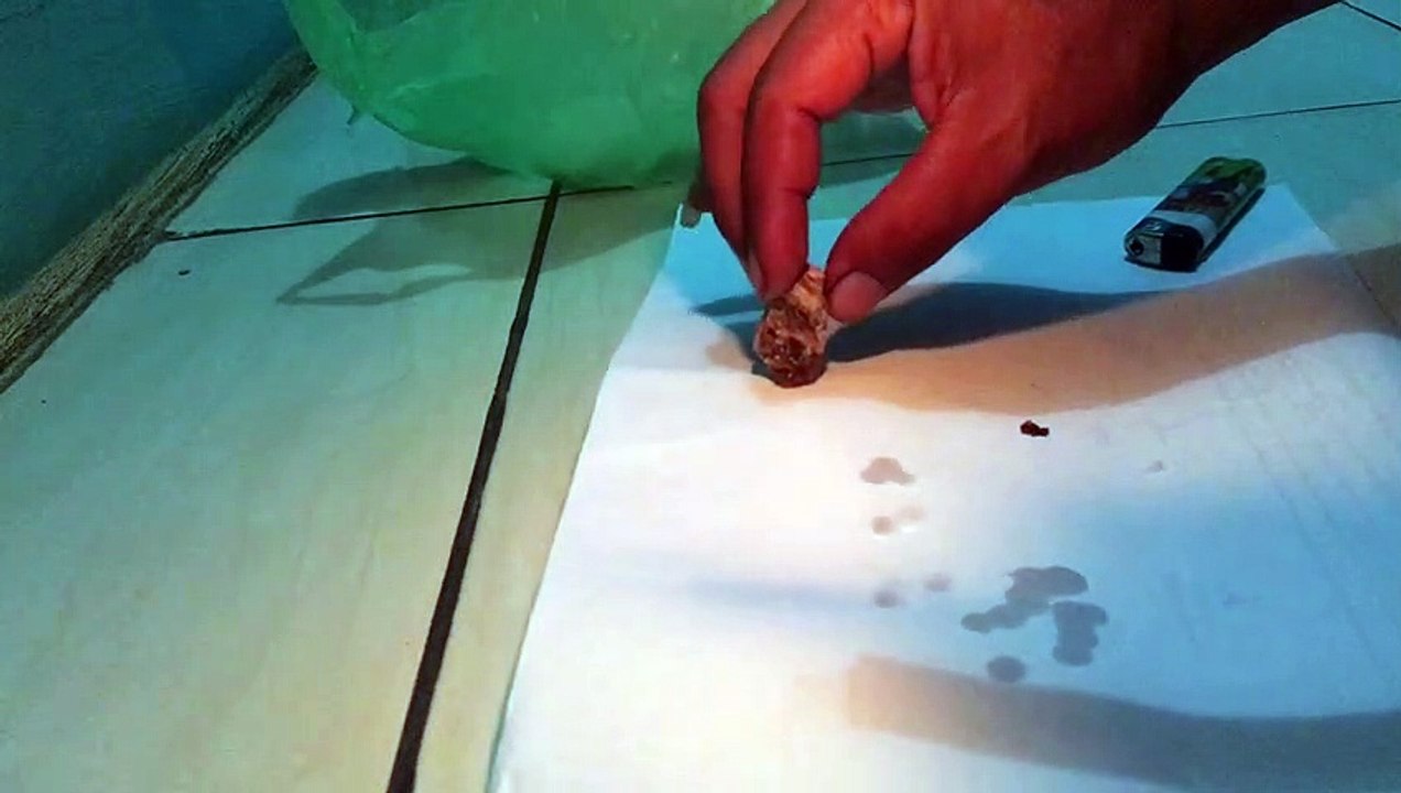 Uji coba muntahan paus IMG_0706