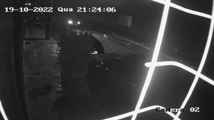 Melhor amigo do Felipe. Encontrem o cachorrinho Charlie Brown