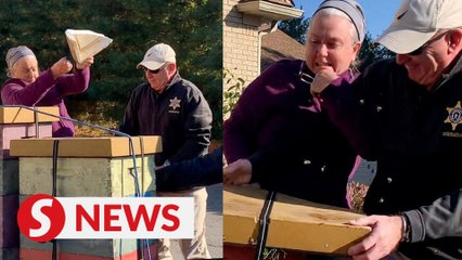 Woman accused of assaulting officers with swarm of bees