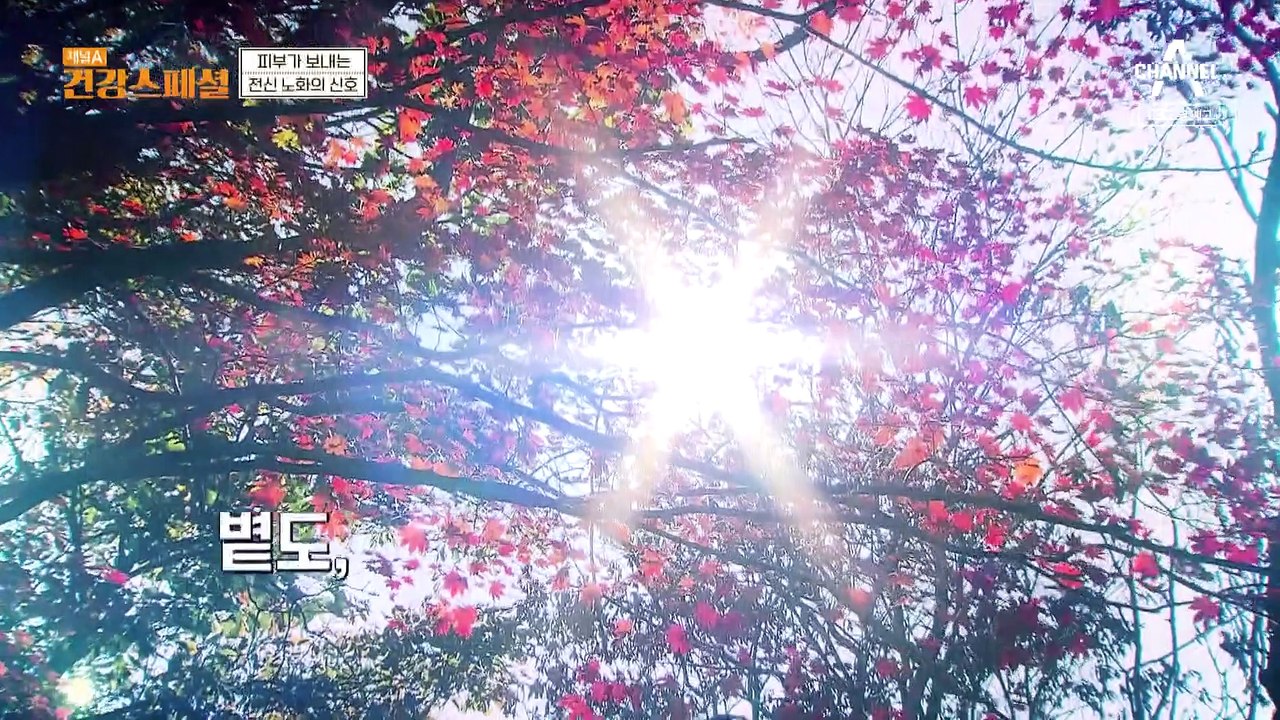 [예고] 가을철의 불청객 '건조함' 노화를 앞당기는 주범인 피부 손상을 막아라!