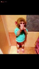 The little monkey is so adorable
