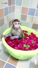 The flower is so sweet. I love my little pool.