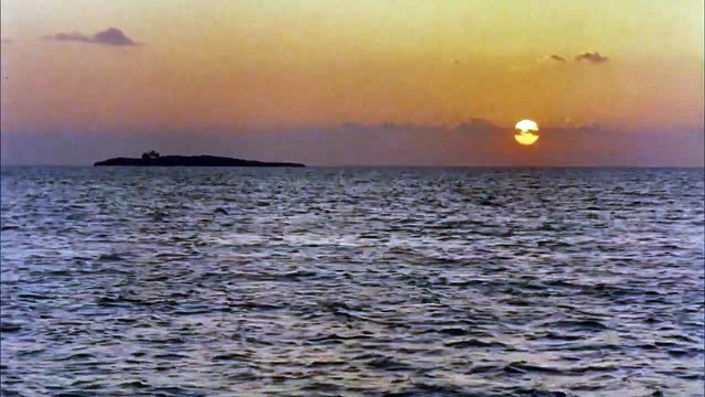 Les Dents de la mer 4 : La Revanche Bande-annonce (EN)