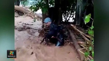 tn7-recate-perro-inundacion-201022