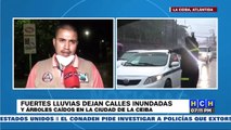 Fuertes lluvias dejan árboles caídos y calles inundadas en La Ceiba