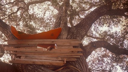 The Backseat Lovers - Viciously Lonely (Audio)