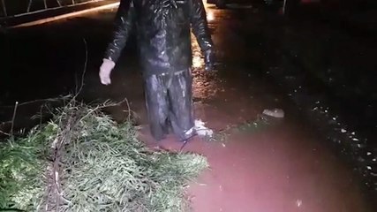 Veja como ajudar trabalhador que caiu de moto e teve veículo danificado