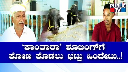 ಸಿನಿಮಾಗಾಗಿ 1 ತಿಂಗಳು ಕೋಣ ಪಳಗಿಸಿದ್ದ ರಿಷಬ್ ಶೆಟ್ಟಿ | Rishab Shetty | Kantara | Public TV