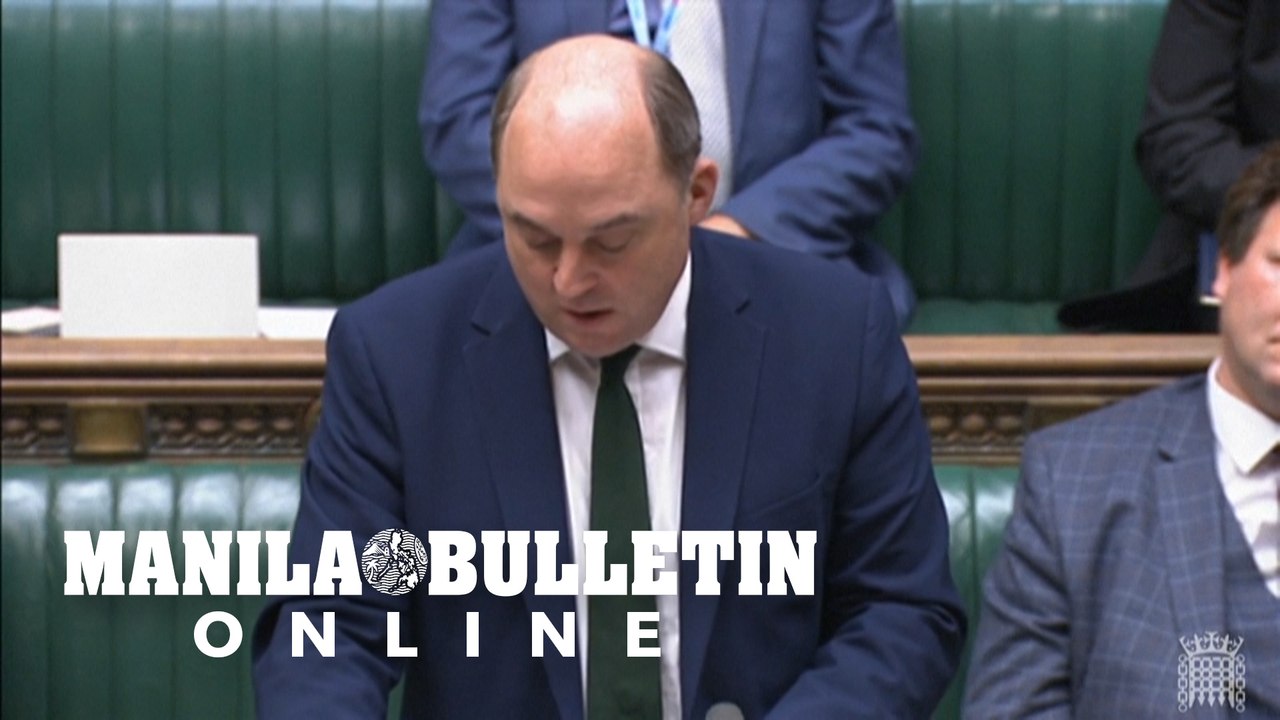 Russian jet fired missile near British plane in 'malfunction': Wallace