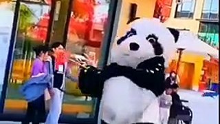 funny babies,funny prank,funny animals,funny videos,funny comedy,funny shorts,funny videos 2022,funny video new,funny videos english