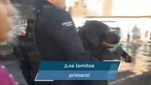 Rescatan a perrito del incendio tras explosión de una pipa en Aguascalientes