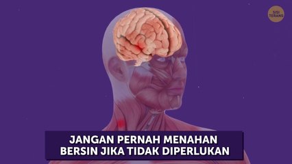 65 Fakta Unik yang Bisa Membuatmu Terlihat Cerdas