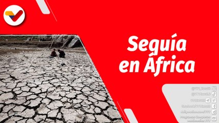 El Mundo en Contexto | Biodiversidad de África en riesgo por la crisis climática