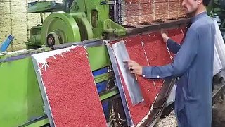 Amazing process of matchsticks making in the factory