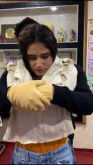 Bringing Chiropractic Revolution In India #shorts#Chiropractic