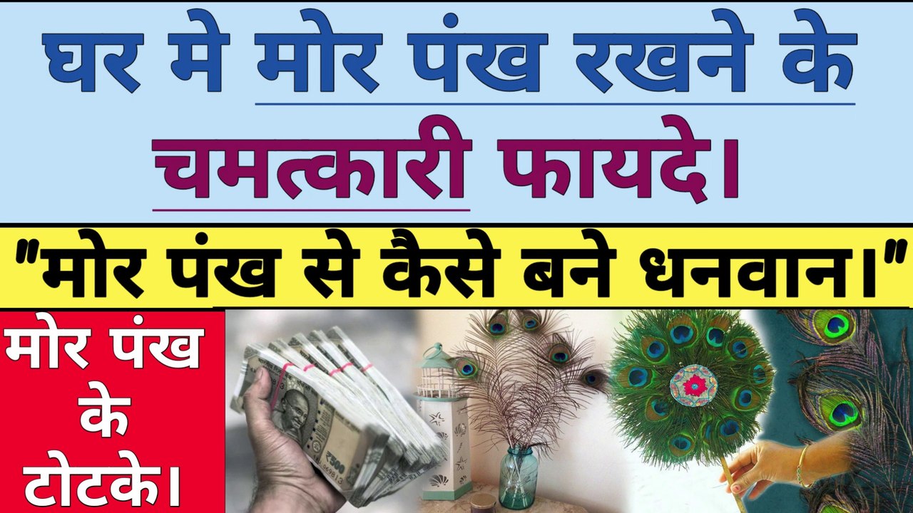 मोर पंख से कैसे बने धनवान  मोर पंख के चमत्कारी टोटके। Morpankh Totke। VastuTips Peacock feathers.
