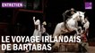 Le voyage irlandais de Bartabas