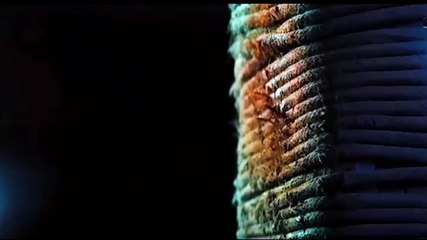 Cuplikan Jhon Wick 4