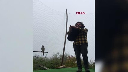 Son dakika gündem: RİZE'DE TULUM ÇALARKEN AĞA ATMACA TAKILDIĞI ANLAR KAMERADA