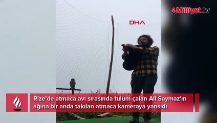 Tulum çalarken ağa atmaca takıldığı anlar kamerada